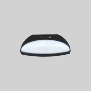 CRG10/B - Wall Light