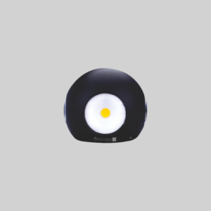 CRG40 - 4 Way Wall Light