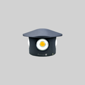 CRG40/B - 4 Way Wall Light